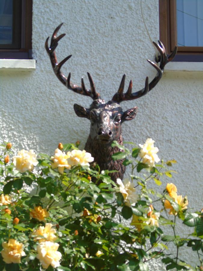 Craik Na Dav B&B Invermoriston Eksteriør billede